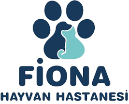 Fiona Hayvan Hastanesi